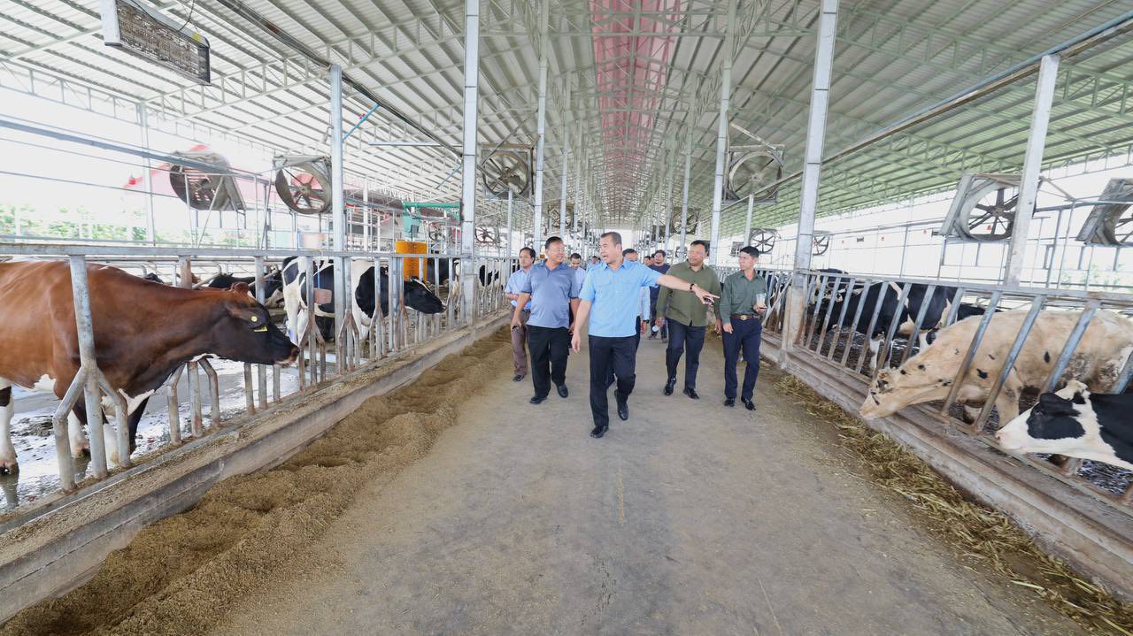 ARDB Chief Visits Moo Moo Farms, Urges Strategy to Boost Local Dairy Production